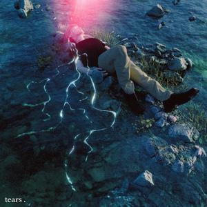 日本少妇AA一级特黄大片
